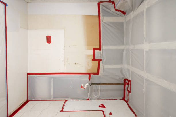 Best Black Mold Removal  in Davis, CA