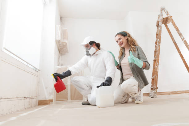 Best Mold Removal for HVAC Installations  in Davis, CA